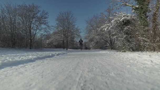 德国慕尼黑 冬季阳光明媚的天气 骑自行车的男子在雪地上骑车 在各种天气下骑自行车通勤 户外冬季活动 冬季无害生态的交通 — 图库视频影像