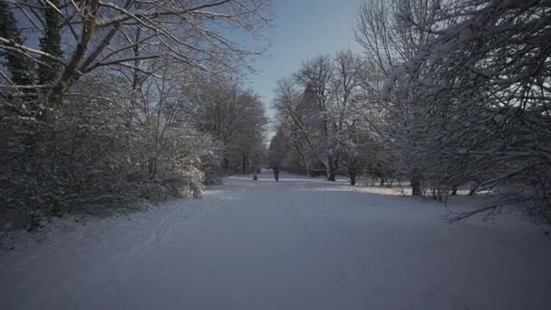 Samiec Rowerzysta Parku Śniegu Zimą Słonecznej Pogodzie Monachium Niemcy Dojazd — Wideo stockowe