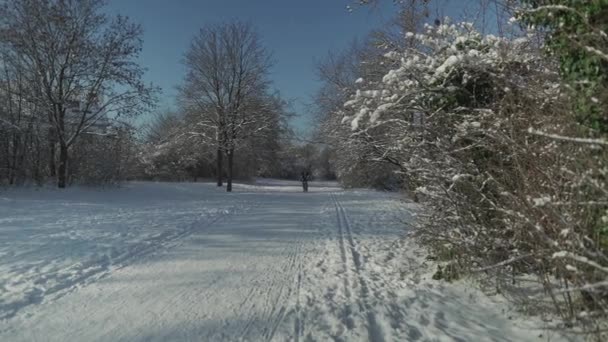 Ciclista Masculino Pedalando Parque Neve Durante Inverno Clima Ensolarado Munique — Vídeo de Stock