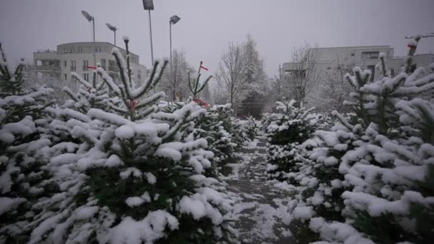 Τοπική Αγορά Που Πωλούν Χριστουγεννιάτικα Δέντρα Χιονόπτωση Στο Μόναχο Γερμανία — Αρχείο Βίντεο