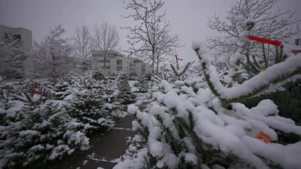 Filas Cubiertas Árboles Piel Nieve Feria Navidad Año Nuevo Con — Vídeos de Stock