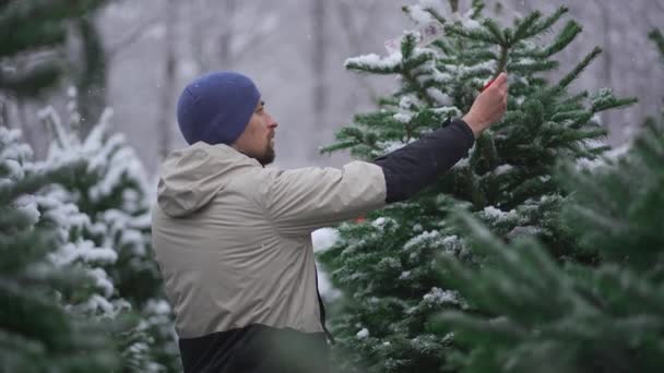 Táta Kupuje Vánoční Stromeček Telefonuje Nakupování Oblasti Trhu Rekreační Vesnický — Stock video