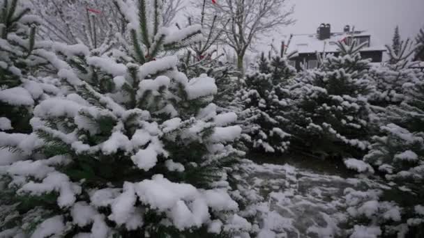 Kerstbomen Koop Kerstmarkt Sneeuwval Duitsland Kerstbomen Koop Duitse Kerstmarkt Belangrijkste — Stockvideo