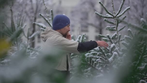 男はクリスマスマーケットでクリスマスツリーを選択し 雪の日に彼の家族から電話で正しい選択にヒントを取ります 地元のファーマーズマーケットでモミの木を拾い 携帯電話で話す — ストック動画
