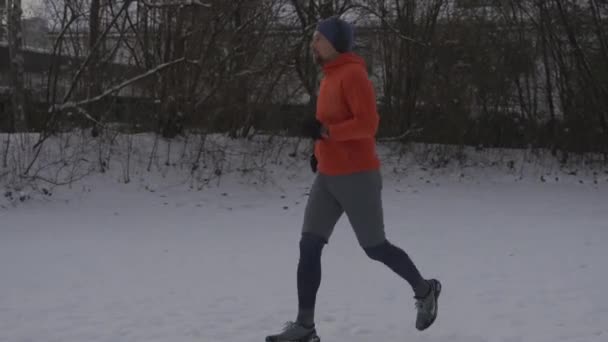 Winter Run Male Jogger Training Outdoors Forest Park Listening Music — Stock Video