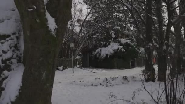 Άντρας Δρομέας Τρέχει Στο Χιόνι Χειμώνα Πορτοκαλί Φούτερ Πίσω Όψη — Αρχείο Βίντεο