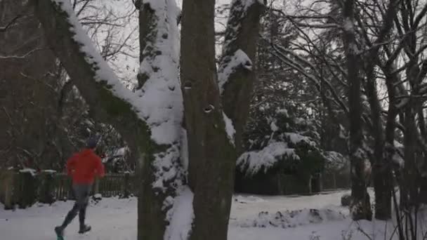 Άντρας Δρομέας Τρέχει Στο Χιόνι Χειμώνα Πορτοκαλί Φούτερ Πίσω Όψη — Αρχείο Βίντεο