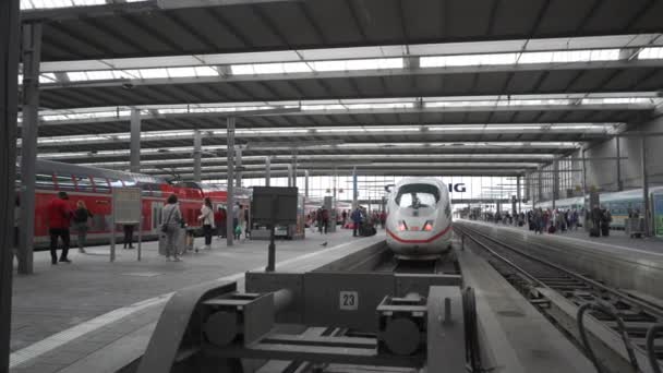 2023年10月7日 ミュンヘン ドイツ ドイツのミュンヘンにある国際中央鉄道駅は ターミナルに列車が並んでいます ミュンヘン駅のホワイト アンド レッド モダン インターナショナル急行列車Ice — ストック動画
