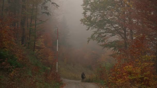 Férfi Kerékpáros Lovaglás Felfelé Kavicsos Kerékpár Kilátás Vissza Ősszel Erdőben — Stock videók