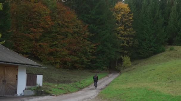 德国巴伐利亚山区 骑自行车骑自行车爬山的男性从秋天的后背看森林 黄叶丛生 山地农村骑自行车的人在树林里摔倒了 — 图库视频影像