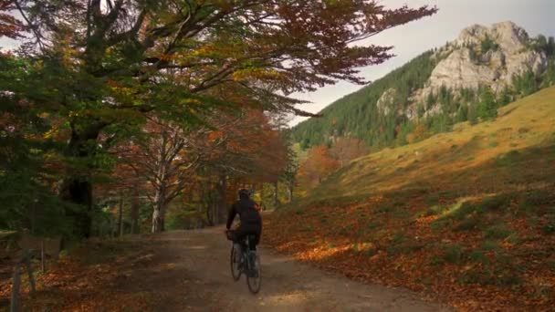Man Cyklist Rider Uppför Grus Cykel Utsikt Från Tillbaka Hösten — Stockvideo