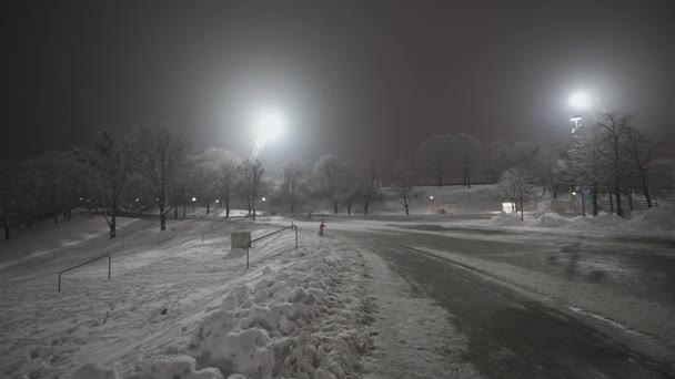 올림픽 겨울에 겨울에 사람들 올림픽 공원을 덮었다 올림피아파크 Olympia Park — 비디오