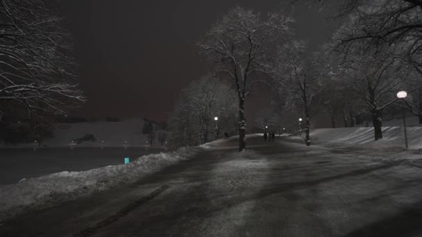 冬季在德国慕尼黑的奥林匹克公园 晚上有雪 雪覆在奥林匹克公园 没有人 奥林匹亚公园蒙琴 奥林匹亚公园Muenchen — 图库视频影像