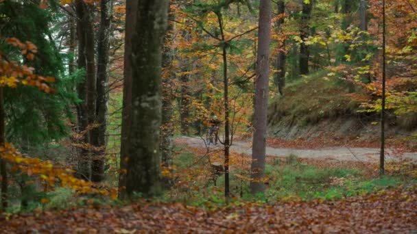 德国巴伐利亚市 厌倦了骑自行车的男性骑车人在秋天用黄色树叶把砾石自行车拖上陡峭的山丘 人们骑着自行车在茂密的森林里爬山 骑自行车旅行 — 图库视频影像