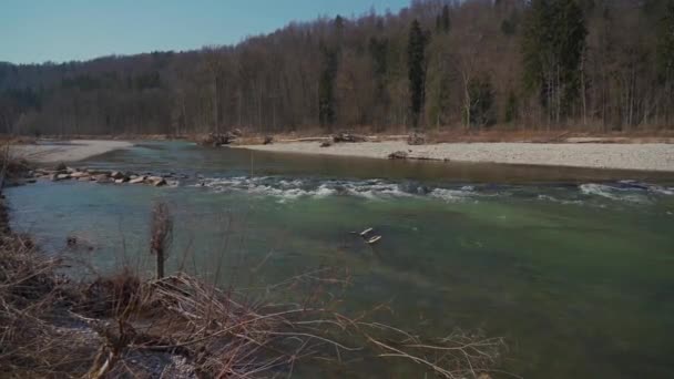 Vacker Utsikt Över Isar River Solig Vårdag Nära München Natur — Stockvideo