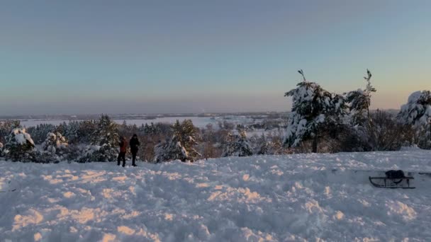 2023年12月3日 ドイツのミュンヘン メッセシュタットのリーメイヤー公園 リーム公園のトボガン丘と展望デッキの丘 晴れた冬の天気のムンヘンの公園で雪山でスキーする幸せな人々 — ストック動画