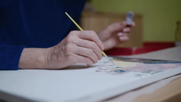 Handen Van Oudere Vrouw Schilderen Met Verf Borstelen Doek Senior — Stockvideo