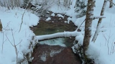 Almanya 'da kar yağışı sırasında ormandaki güzel dağ nehri. Kış dağı ormanı. Donmuş dağ nehri. Dağlık dere ormanlarla kaplı. Kışın Rock deresi. 