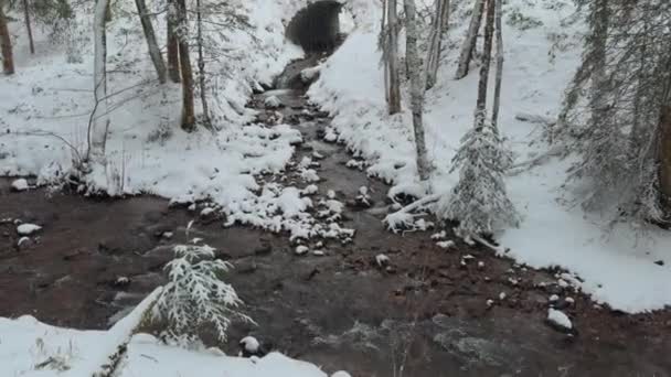 Schöner Gebirgsfluss Wald Mit Schnee Bei Schneefall Deutschland Winterbergwald Gefrorener — Stockvideo