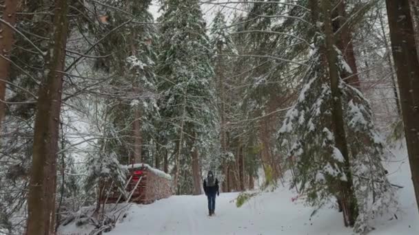 Чоловіки Гуляють Снігових Хвойних Лісах Невеликим Рюкзаком Баварських Альпах Німеччині — стокове відео