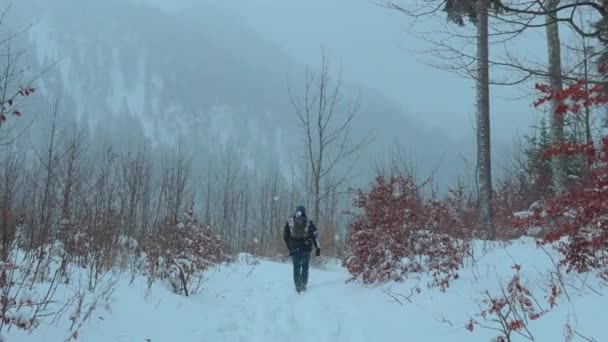 男性のハイカーは ドイツのバイエルンアルプスの小さなバックパックと雪の複合森を歩いています 冬の日 山の松林 後ろから眺める 冒険と自然のコンセプト 冬の風景 — ストック動画