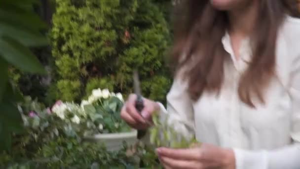 Professionell Blomsterhandlare Jobbet Ung Vacker Kvinna Gör Trendig Modern Bukett — Stockvideo