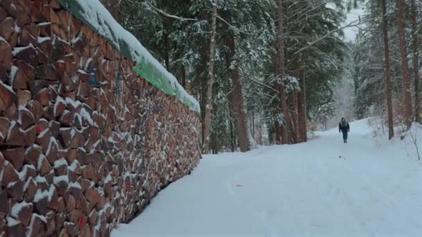 Чоловіки Гуляють Снігових Хвойних Лісах Невеликим Рюкзаком Баварських Альпах Німеччині — стокове відео
