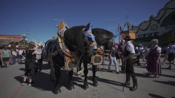 September 2023 München Duitsland Theresienwiese Versierde Paarden Koetsen Van Een — Stockvideo