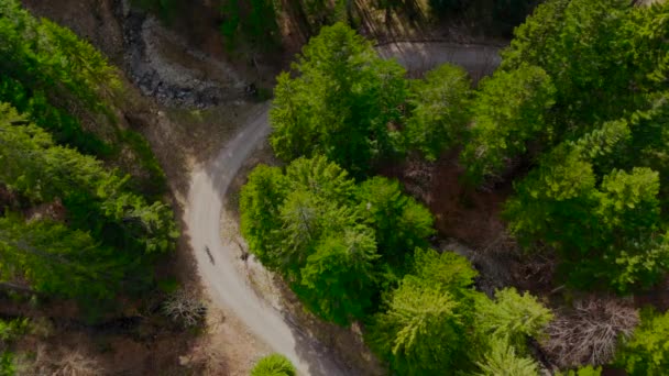 Vista Aérea Ciclista Montando Camino Tierra Montañas Bosque Coníferas Con — Vídeos de Stock
