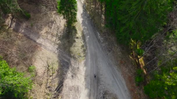 在天气晴朗的针叶林的山上 骑自行车的人骑在土路上的空中景象 骑单车者在高树松树丛中的小山上行走的无人驾驶公路的无人驾驶镜头 — 图库视频影像