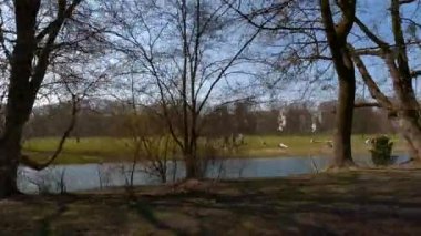 22 Mart 2022. Münih, Almanya. İnsanlar baharda güneşli ve sıcak havalarda Englischer Bahçesi 'ndeki Isar Nehri yakınlarındaki yeşil çimlerde dinleniyorlar. İnsanlar sıcak günün tadını çıkarıyorlar, Münih 'teki Isar Nehri yakınlarında güneşleniyorlar.. 