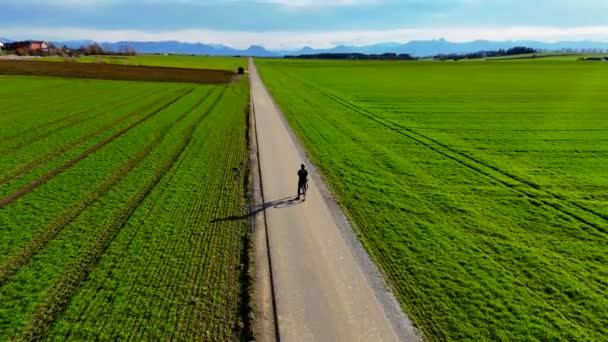 Luftaufnahme Eines Männlichen Radfahrers Schwarzer Kleidung Auf Einem Asphaltierten Weg — Stockvideo