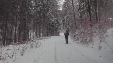Erkek yürüyüşçü, Almanya 'nın Bavyera Alplerinde küçük sırt çantasıyla karlı kozalaklı ormanlarda yürüyor. Kış günü, dağlardaki çam ormanı, arkadan manzara. Macera ve doğa kavramı. Kış manzarası. 