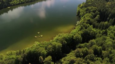 Steinsee bei Munchen Luftaufnahme. Steinsee, Bayern Luftbildansicht 'te. Almanya, Bavyera, Münih yakınlarındaki Stein Gölü hava manzarası. Almanya 'nın en sıcak göllerinden biri. Steinsee orman bölgesinde yer almaktadır.. 