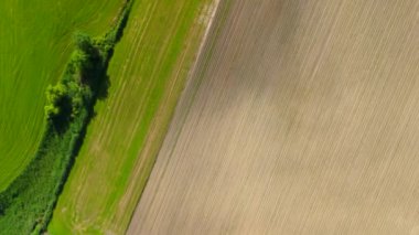 Yazın Bavyera, Almanya 'da güneşli bir havada çeşitli tarım alanlarının havadan görünüşü. Luftaufnahme verschiedenen landwirtschaftlichen Feldern im Sommer, Bayern, Deutschland. Çiftlik alanları. 