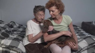 Aile değerleri ve evcil hayvanlar için sevgi teması. Yaşlı bir kız ve yaşlı bir anne yatak odasında kahverengi dachshund köpeğini kucaklıyor ve okşuyor. Dostluk hayvanı ve insan yaşam tarzı konsepti. 