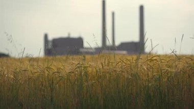 Doğa ve üretim kombinasyonu. Tarım endüstrisi, bitkiden kaynaklanan hava kirliliği. Fabrika bacaları arka planda, buğday tarlaları ön planda. Elektrik santrali, hava kalitesi sorunları