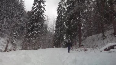 Erkek yürüyüşçü, Almanya 'nın Bavyera Alplerinde küçük sırt çantasıyla karlı kozalaklı ormanlarda yürüyor. Kış günü, dağlardaki çam ormanı, arkadan manzara. Macera ve doğa kavramı. Kış manzarası. 