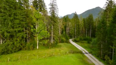 Eylül ayında Almanya 'nın Bavyera şehrinde çakıl bisikleti süren erkek bisikletçinin hava manzarası. Arkasından bisikletlinin drone görüntüsü dağlardaki Bavyera ormanında çakıllı bisiklet rotası boyunca gidiyor.. 