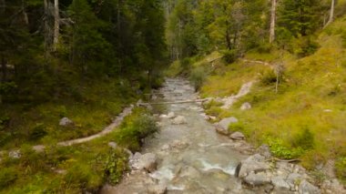 Bavyera Alpleri 'nin manzaralı manzarası, Almanya' da canlı sonbahar yaprakları, kayalık arazi ve yemyeşil orman dağlarıyla çevrili huzurlu bir dağ deresini geçen kırsal ahşap köprüyü gösteriyor.. 