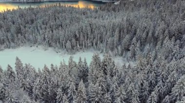 Almanya 'da Eibsee yakınlarındaki Zugspitze Dağı eteklerinde bulunan Frillensee, sakin bir kış kaçışı teklif ediyor. Havadan bakıldığında donmuş göl, karla kaplı ağaçlar ve Bavyera Alpleri 'nin buzla kaplı sükuneti görülüyor.. 