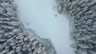 Almanya 'da Eibsee yakınlarındaki Zugspitze Dağı eteklerinde bulunan Frillensee, sakin bir kış kaçışı teklif ediyor. Havadan bakıldığında donmuş göl, karla kaplı ağaçlar ve Bavyera Alpleri 'nin buzla kaplı sükuneti görülüyor.. 