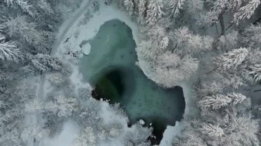 Kışın Rosensee Gölü, Grainau, Garmisch-Partenkirchen, Almanya hava manzaralı, karla kaplı kozalaklı orman ve Alpler ile çevrilidir. Rosensee umgeben bei Grainau, Alman Luftaufnahme. 