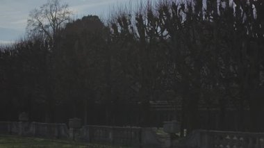 Salzubrg, Avusturya. Güneşli bahar gününde Mirabell Sarayı ve Bahçeleri. Park von Schloss Mirabell, Salzburg, Osterreich. Schloss Mirabell in der Salzburger Rechten Altstadt. 