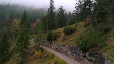 Bir erkek bisikletçi Almanya 'da sisli bir sonbahar ormanında çakıllı bir bisikletle yokuş yukarı gidiyor. İnsansız hava aracı görüntülerinde Alpler 'in sisli atmosferindeki dağlık toprak bir yolda bisiklet sürerken görülüyor.
