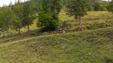 Bir çakıllı bisikletçi, yan görüş alanındaki bir drondan alınan nefes kesen dağ arazisinde yokuş yukarı gider. Kararlılık, dayanıklılık ve engebeli bir ortamda macera ruhu gösteriliyor.
