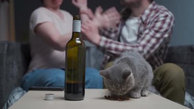 İşlevsiz ailede hayvan istismarı. Sarhoş adam ve kadın kavga ediyor ve aç kedi masada oturmuş dağınık yemek yiyor. Aile içi şiddet ve kötü hayvan bakımı. Alkoliklerin ailesindeki aç kedi.. 