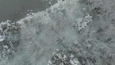 Ludwigsinsel, Heissenbuchel 'in Garmisch-Partenkirchen, Bavyera, Almanya yakınlarındaki donmuş Eibsee Gölü üzerindeki hava manzarası. Karla kaplı ağaçlar ve buzlu sularla huzurlu bir kış sabahı büyülü bir manzara yaratır.. 