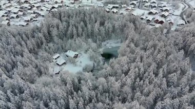 Kışın Rosensee Gölü, Grainau, Garmisch-Partenkirchen, Almanya hava manzaralı, karla kaplı kozalaklı orman ve Alpler ile çevrilidir. Rosensee umgeben bei Grainau, Alman Luftaufnahme. 