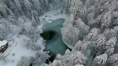 Kışın Rosensee Gölü, Grainau, Garmisch-Partenkirchen, Almanya hava manzaralı, karla kaplı kozalaklı orman ve Alpler ile çevrilidir. Rosensee umgeben bei Grainau, Alman Luftaufnahme. 